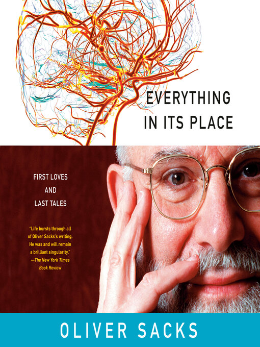 Cover image for Everything in Its Place